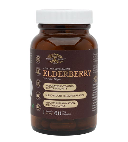 ELDERBERRY (immune protection)