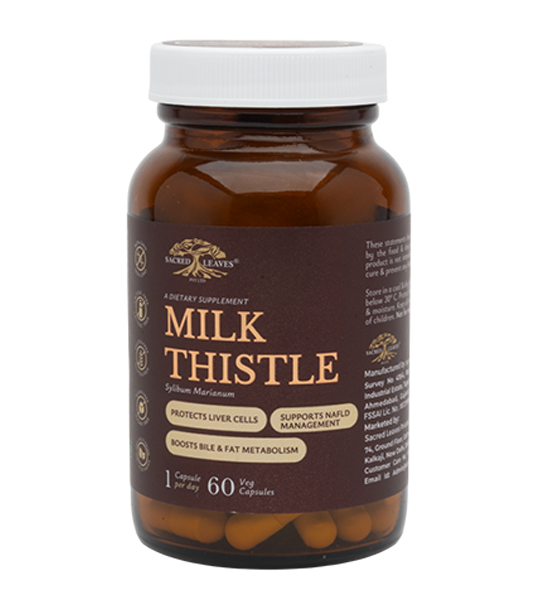 MILK THISTLE (protect and restore liver health)